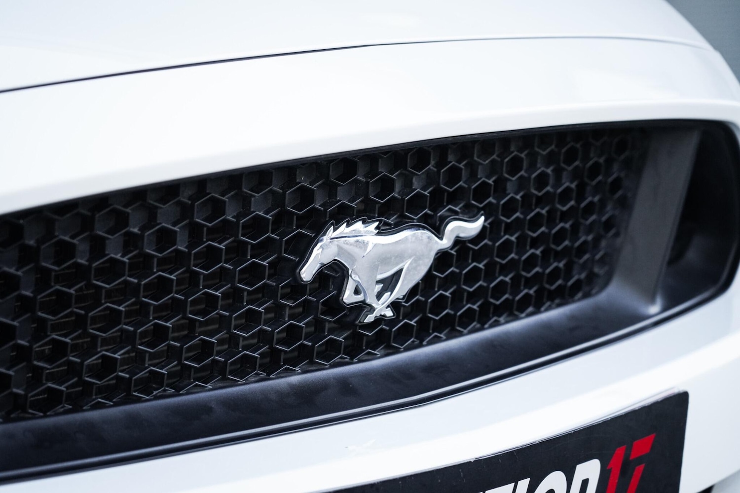 Used Ford Mustang 2018 for sale - 77091517: Photo 23