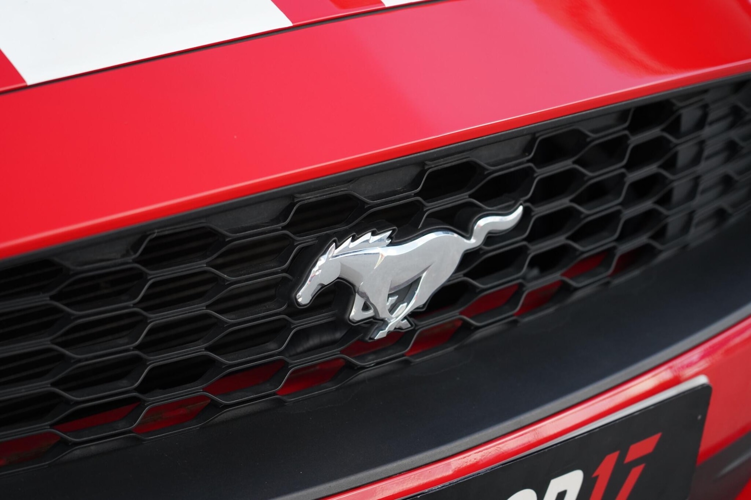 Used Ford Mustang 2019 for sale - 76657592: Photo 30