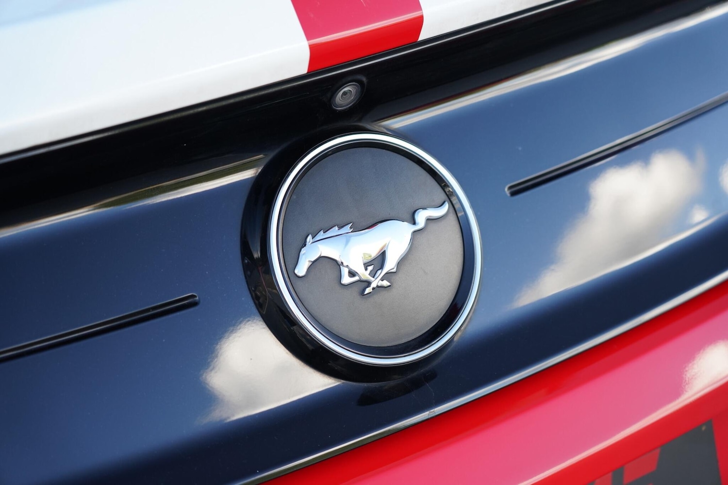 Used Ford Mustang 2019 for sale - 76657592: Photo 31