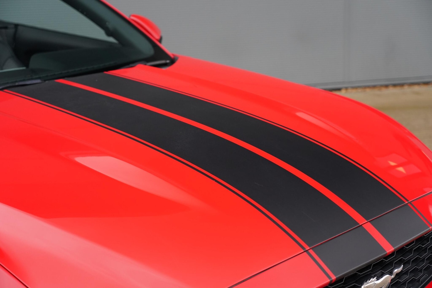 Used Ford Mustang 2016 for sale - 77332016: Photo 34