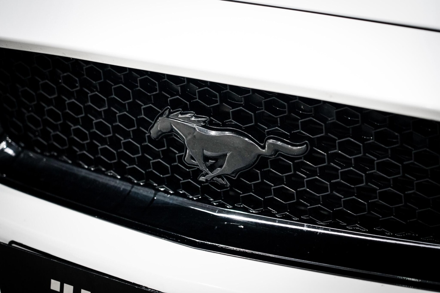 Used Ford Mustang 2017 for sale - 76657910: Photo 31