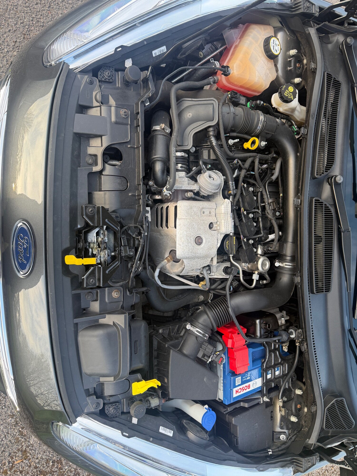 Used Ford Fiesta 2016 for sale - 78155363: Photo 48