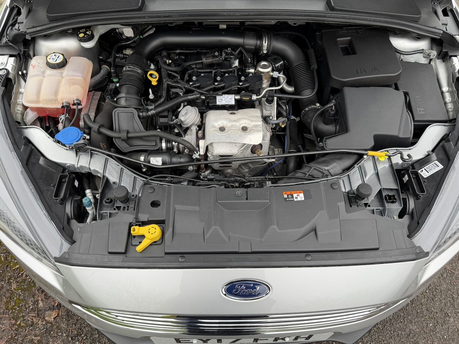 Used Ford Focus 2017 for sale - 77954078: Photo 52