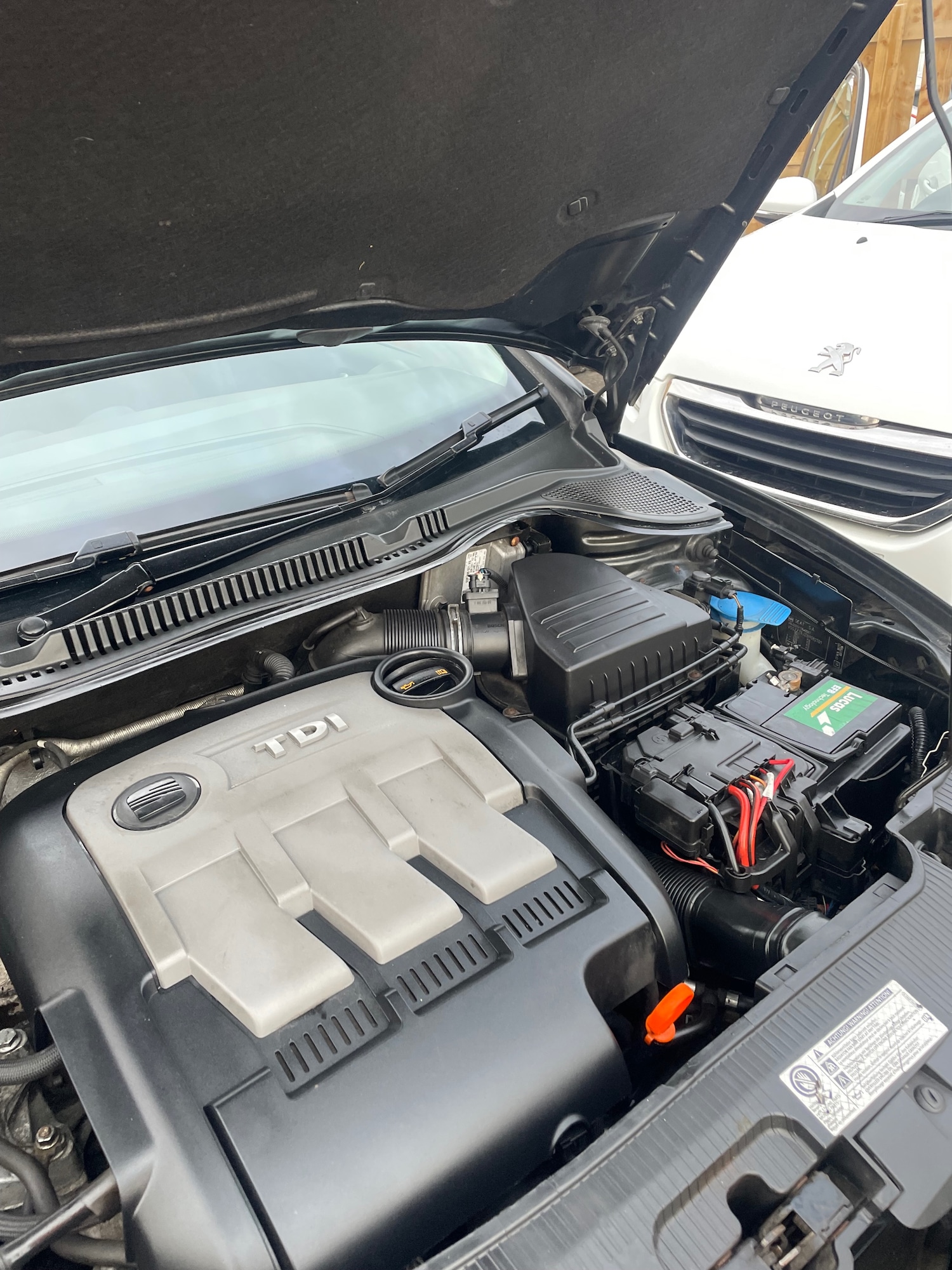 Used SEAT Ibiza 2012 for sale - 76555542: Photo 5