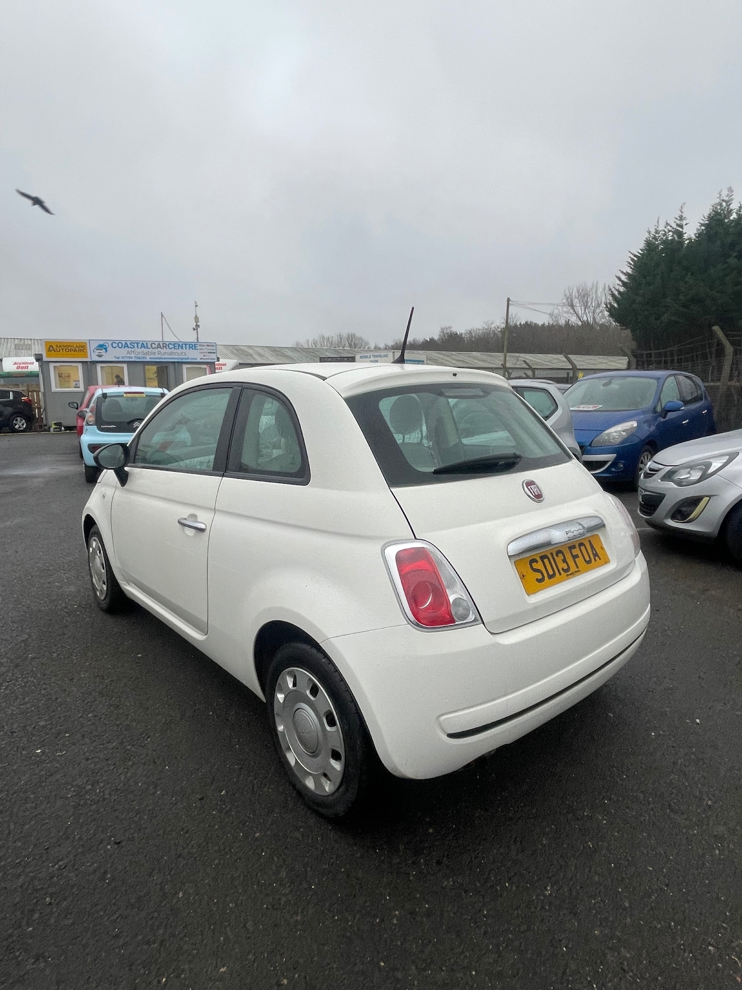 Used Fiat 500 2013 for sale - 77272670: Photo 6