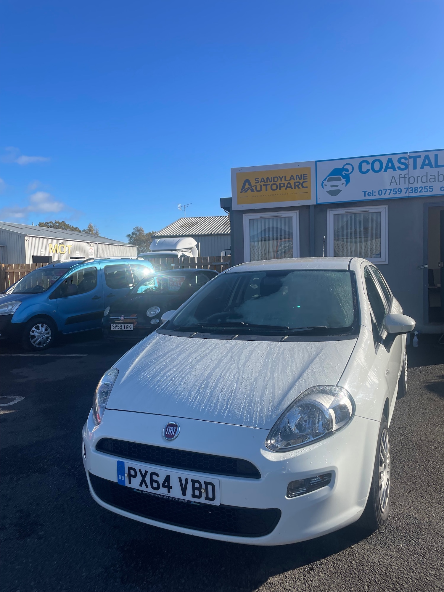 Used Fiat Punto 2014 for sale - 76331147: Photo 2