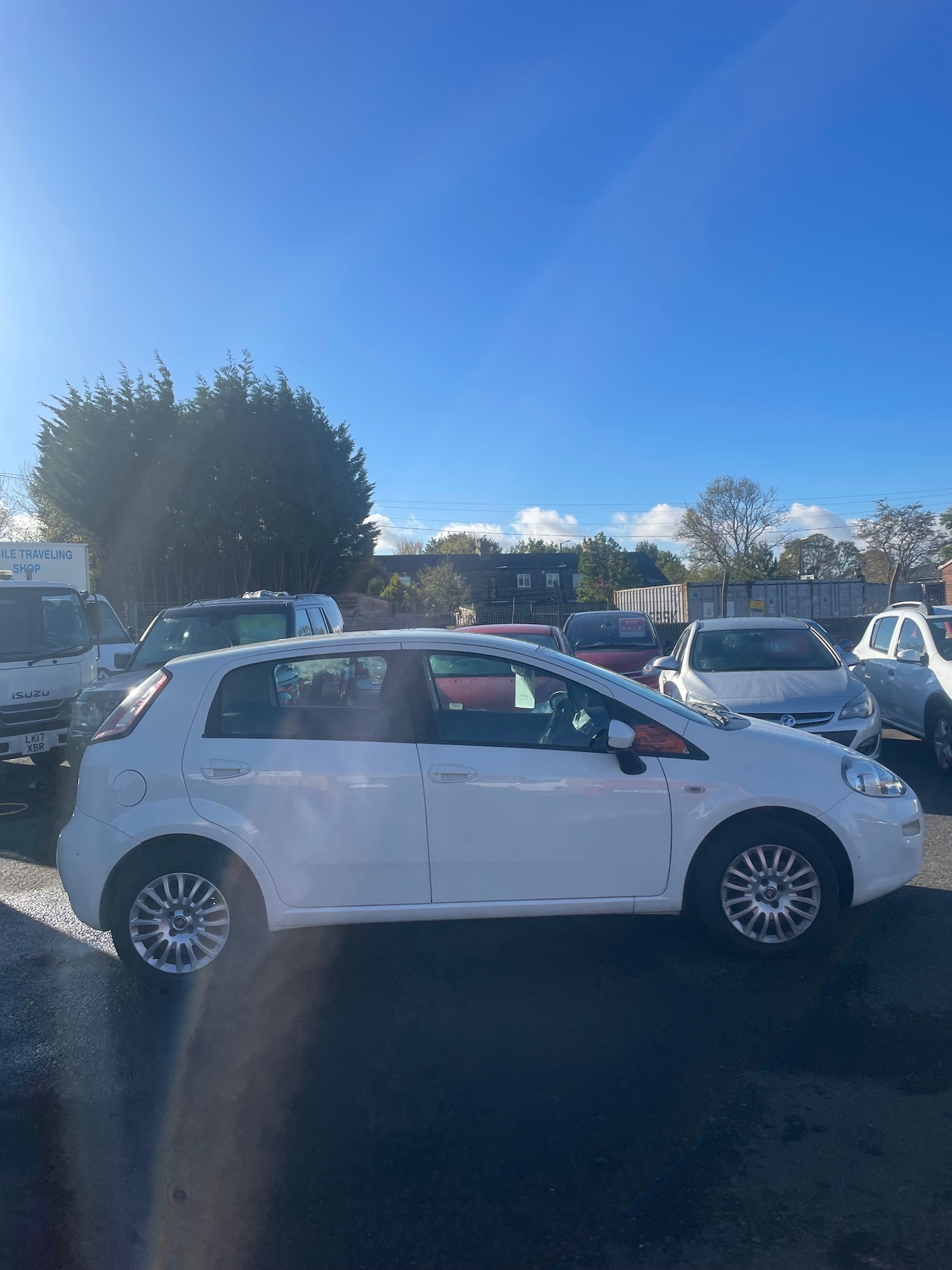 Used Fiat Punto 2014 for sale - 76331147: Photo 4