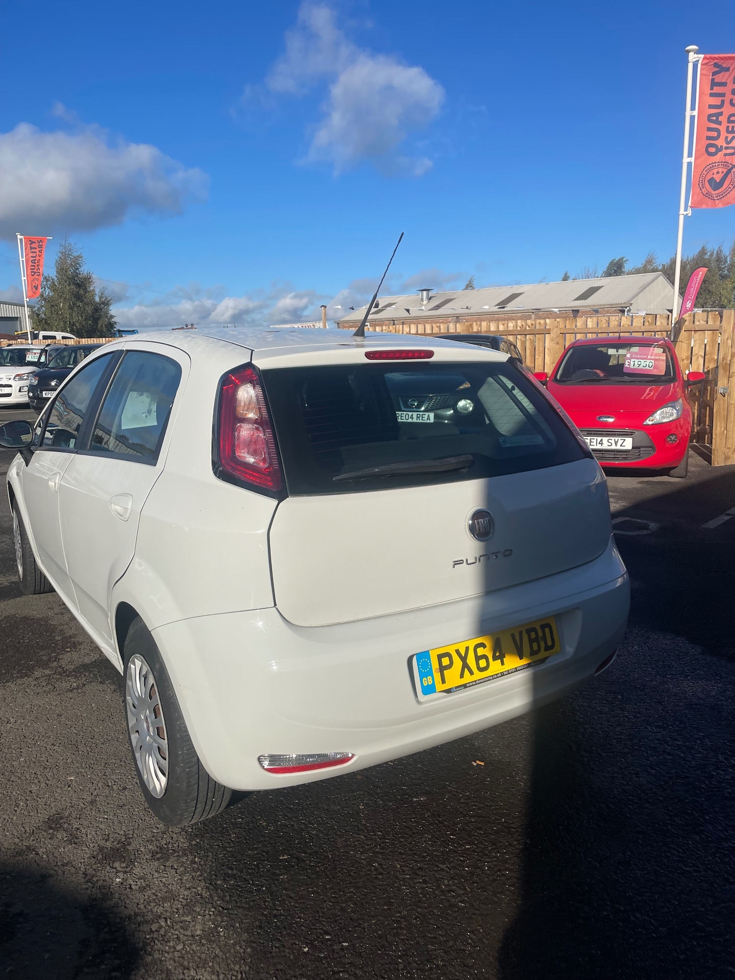 Used Fiat Punto 2014 for sale - 76331147: Photo 8