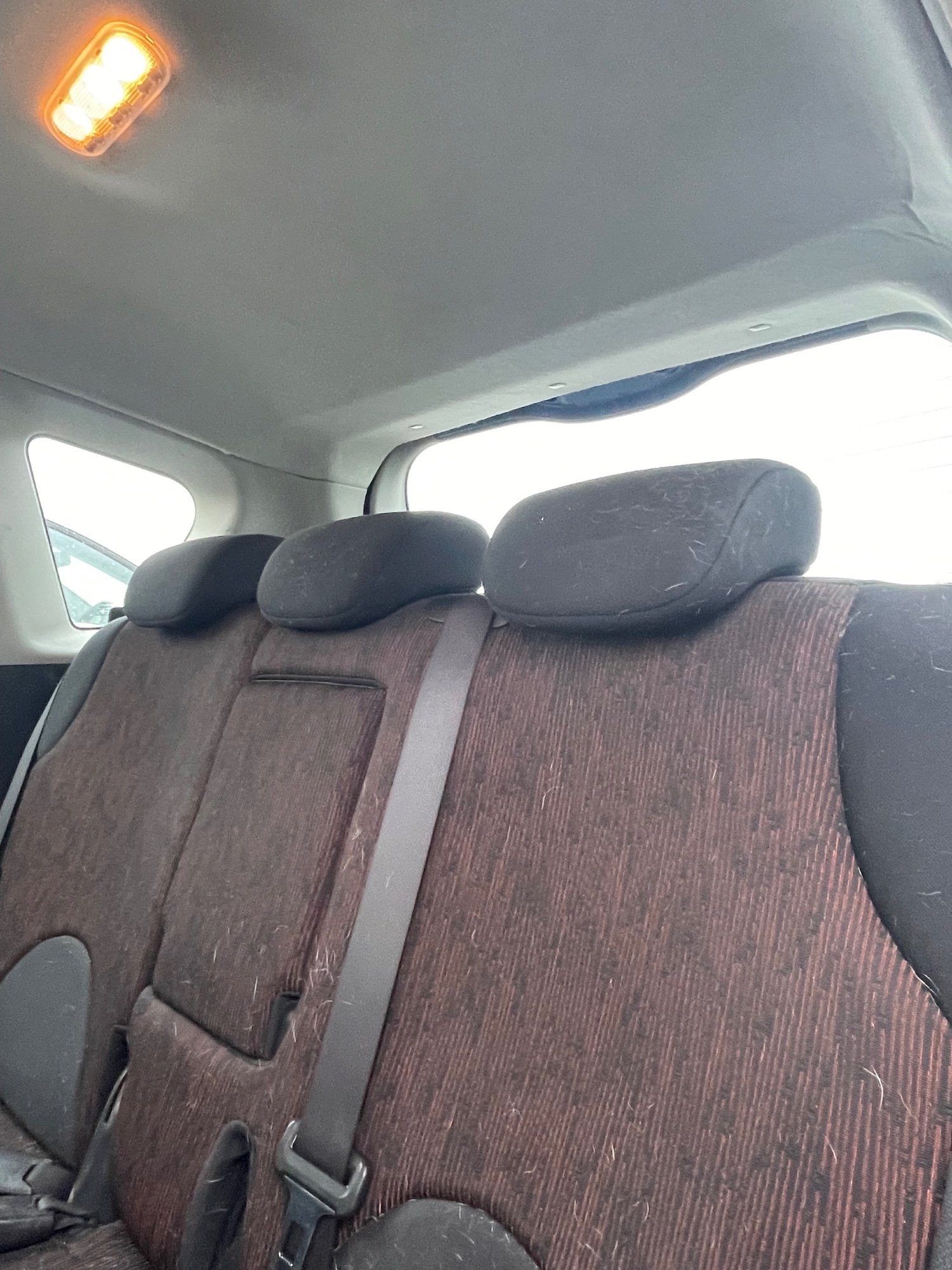 Used Nissan Note 2009 for sale - 77271090: Photo 7