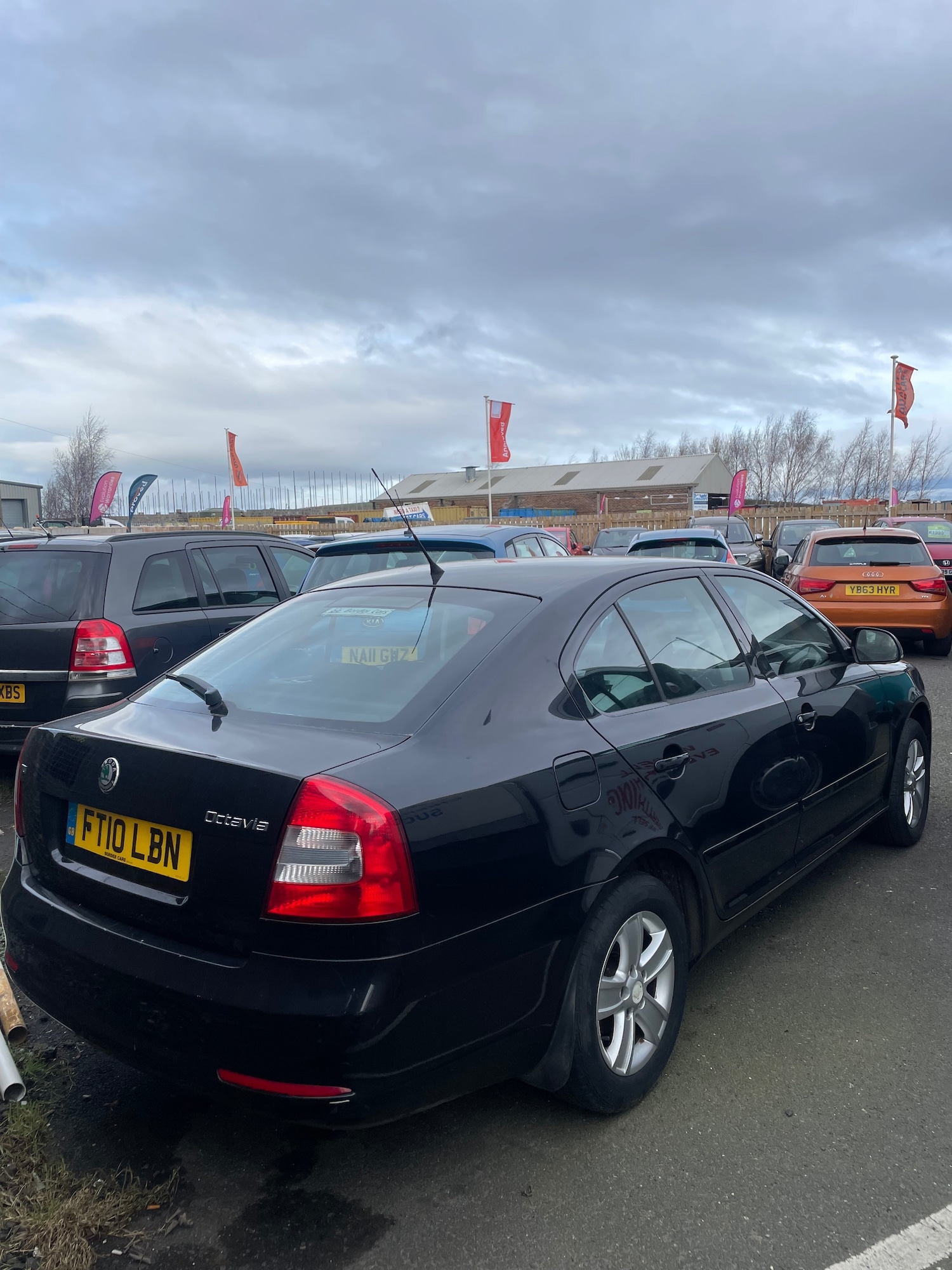 Used Skoda Octavia 2010 for sale - 77616803: Photo 3