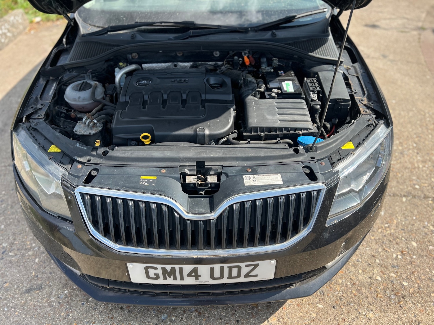 Used Skoda Octavia 2014 for sale - 76605399: Photo 10