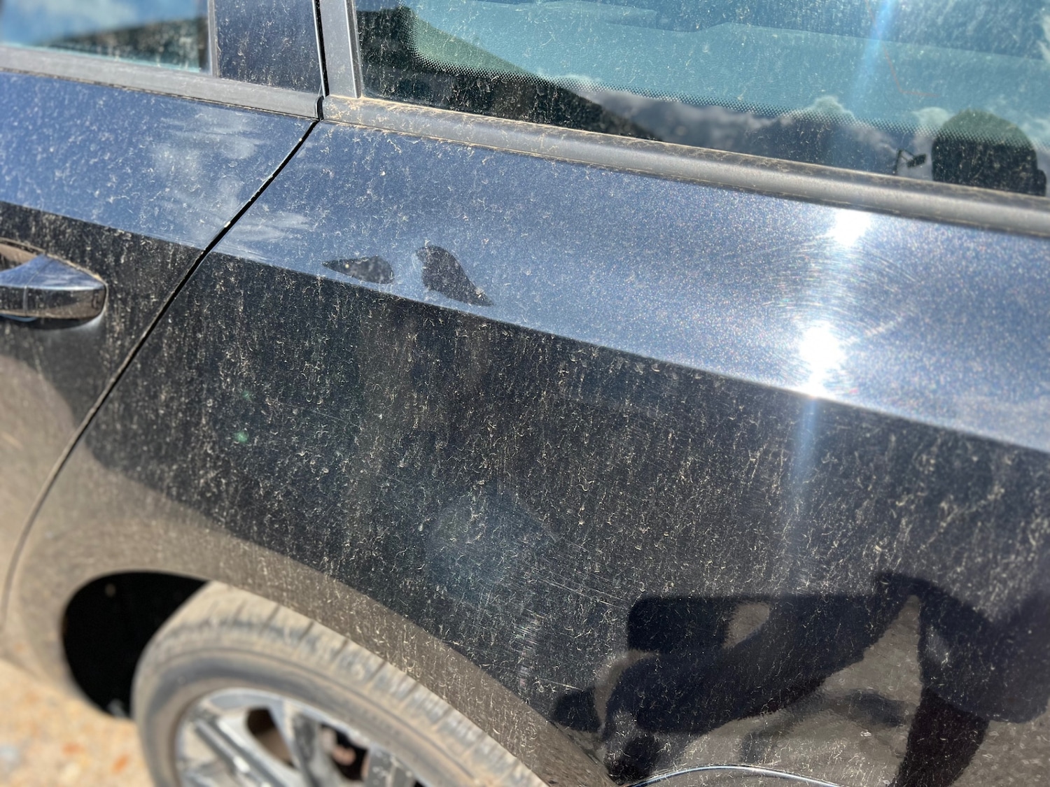 Used Skoda Octavia 2014 for sale - 76605399: Photo 11