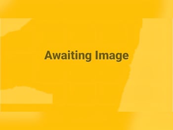 Citroen Berlingo feature image