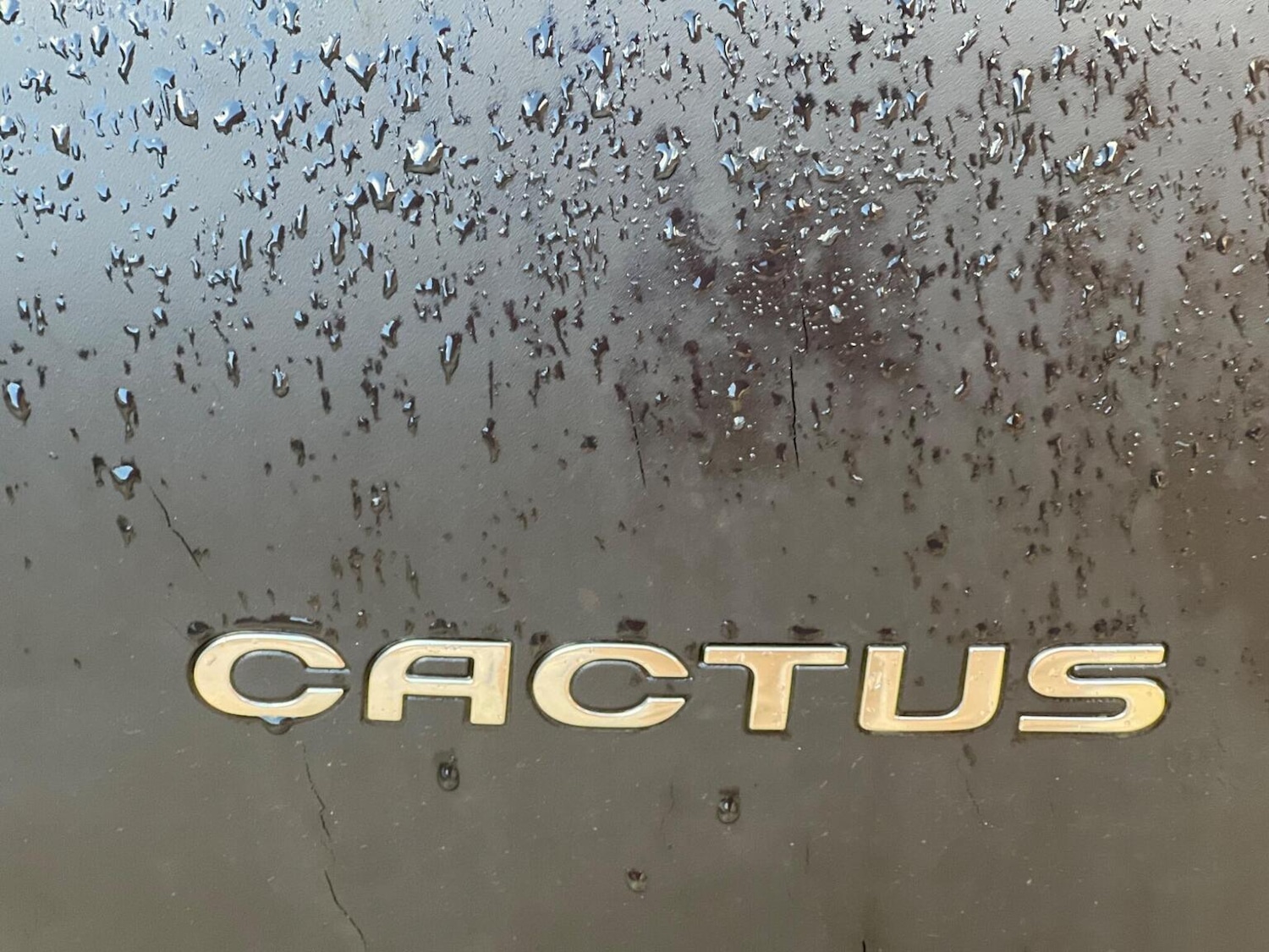 Used Citroen C4 Cactus 2017 for sale - 76605879: Photo 11