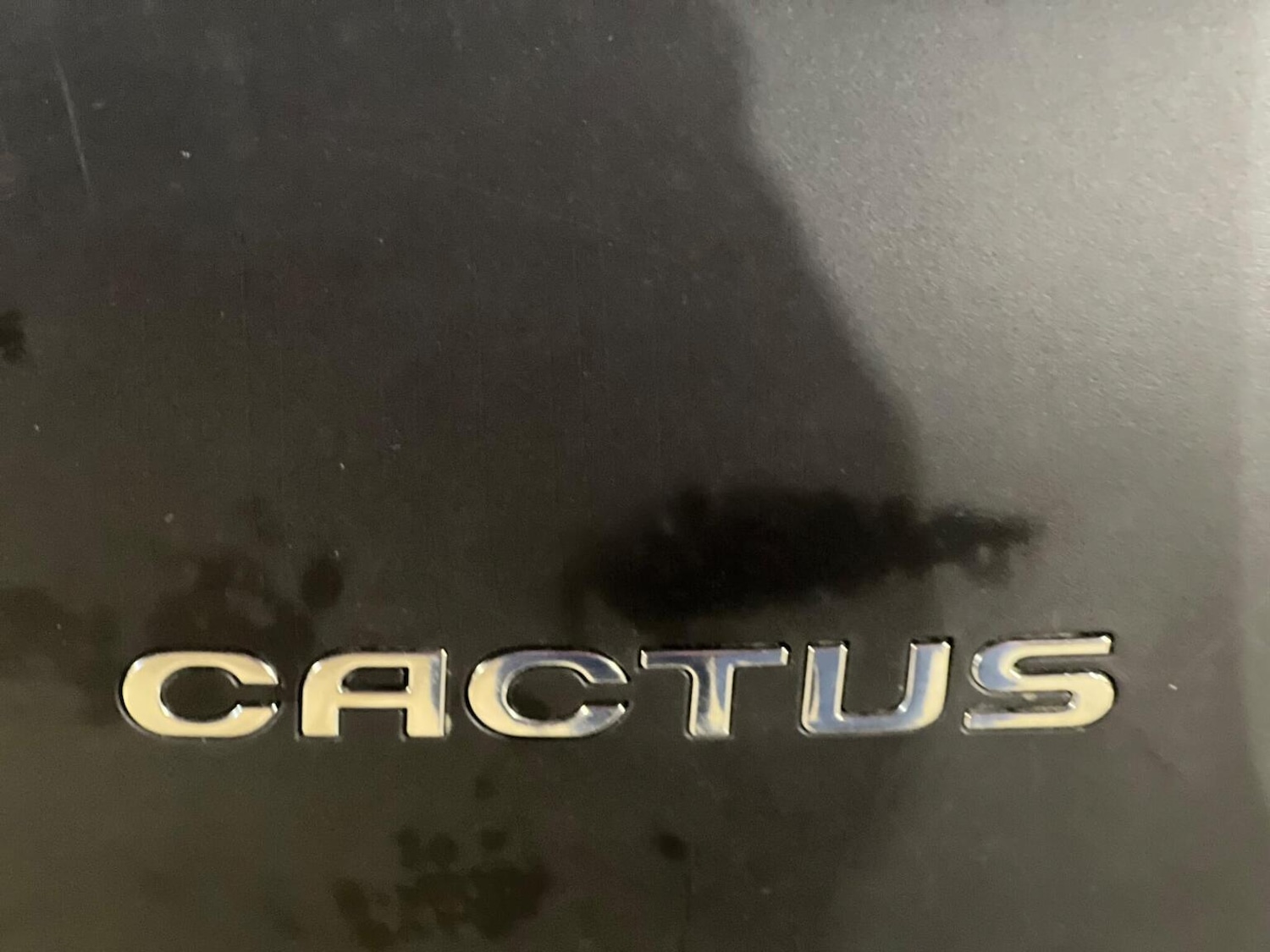 Used Citroen C4 Cactus 2016 for sale - 76605911: Photo 36