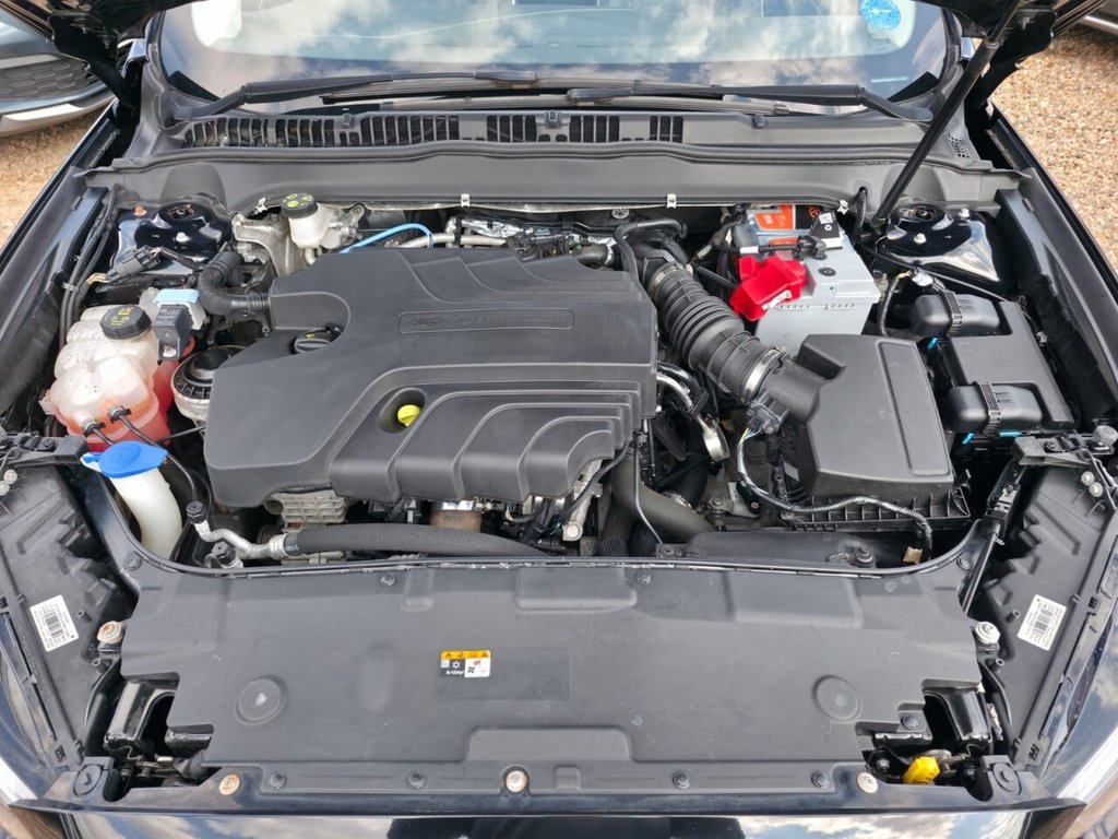Vehicle 44