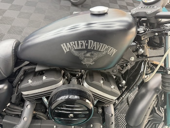 Used Harley-Davidson Sportster 2015 for sale - bike-77632490: Photo
