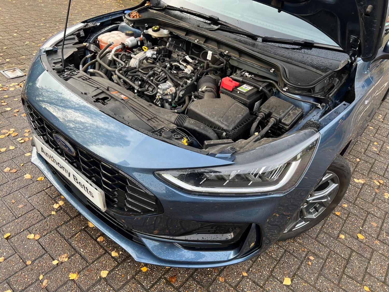 Used Ford Focus 2023 for sale - 76650083: Photo 41