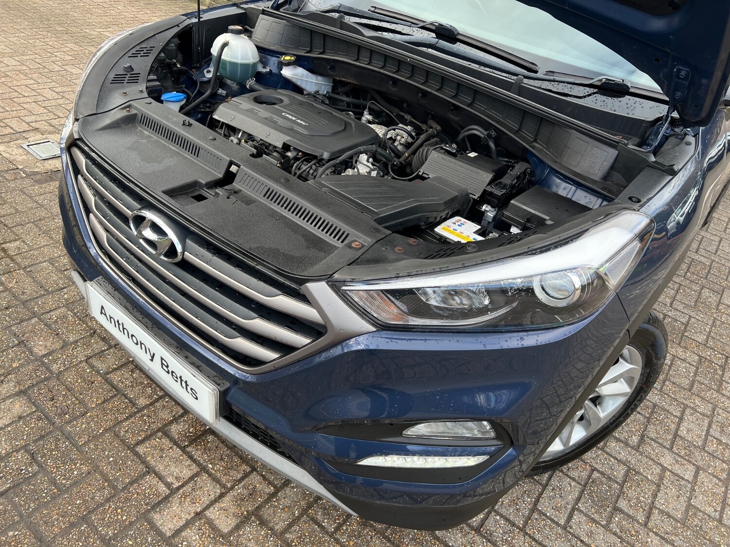 Used Hyundai TUCSON 2017 for sale - 77606849: Photo 33