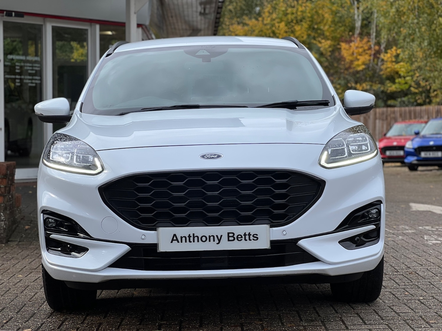 Used Ford Kuga 2022 for sale - 76650102: Photo 3