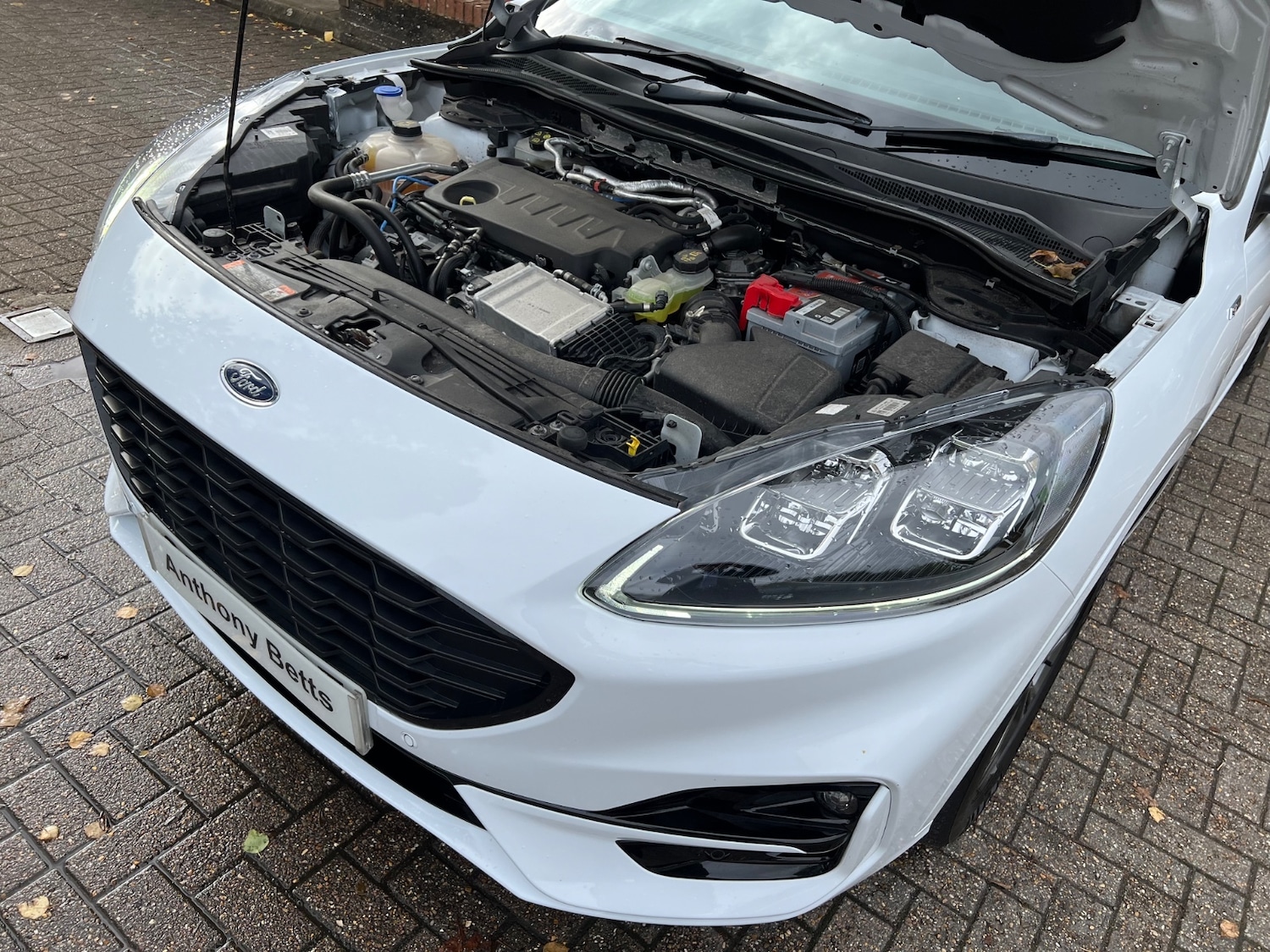 Used Ford Kuga 2022 for sale - 76650102: Photo 45