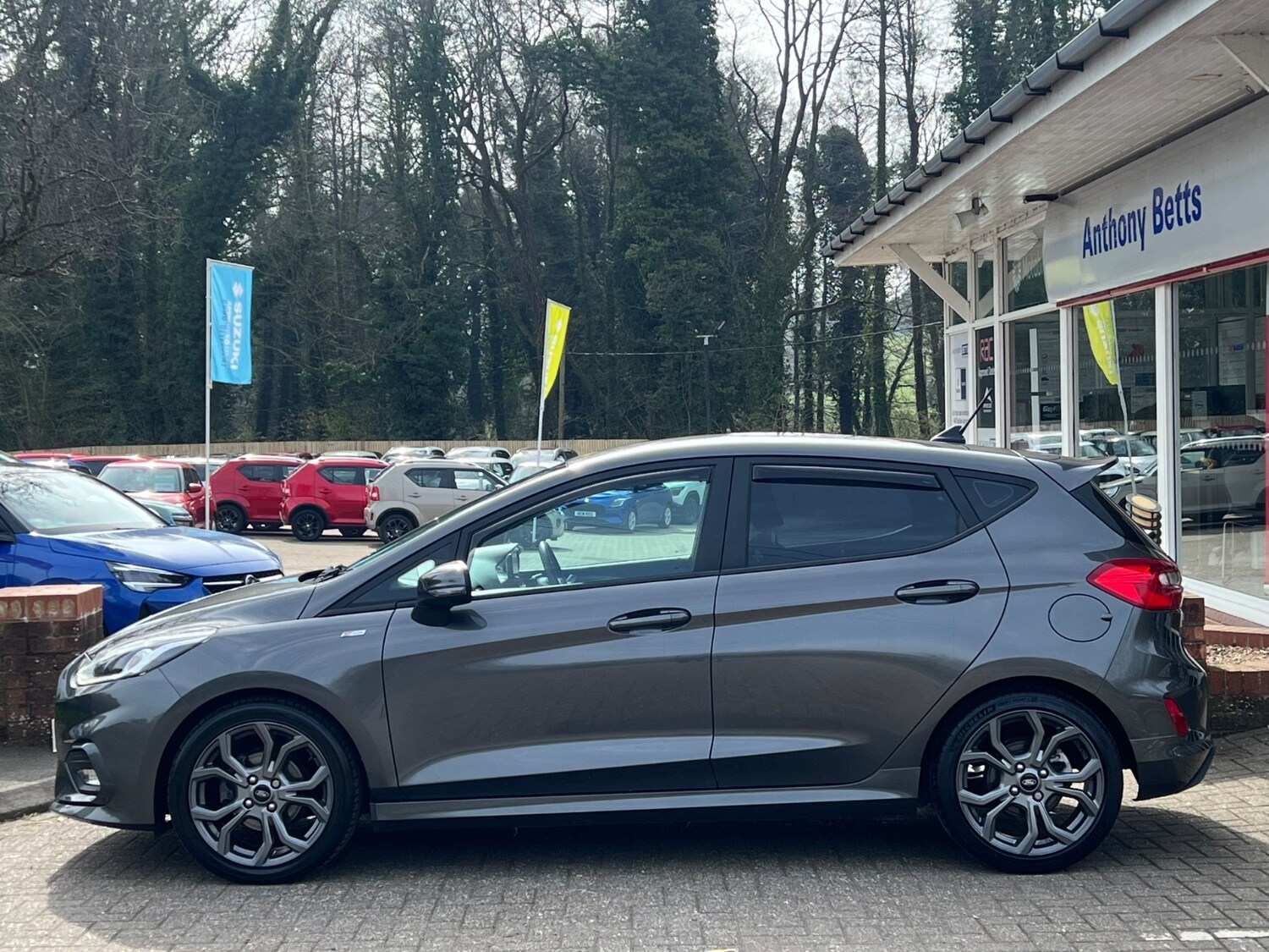 Used Ford Fiesta 2019 for sale - 77965244: Photo 39