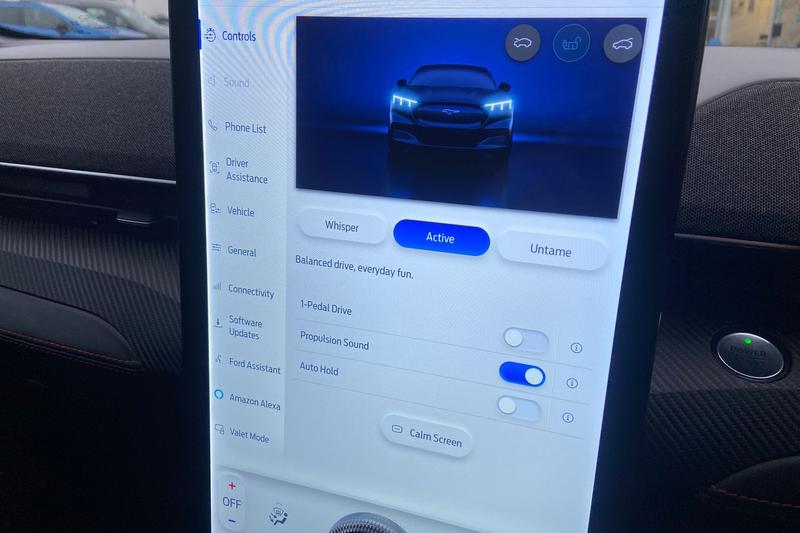 Used Ford Mustang Mach-E 2024 for sale - 77013752: Photo 24