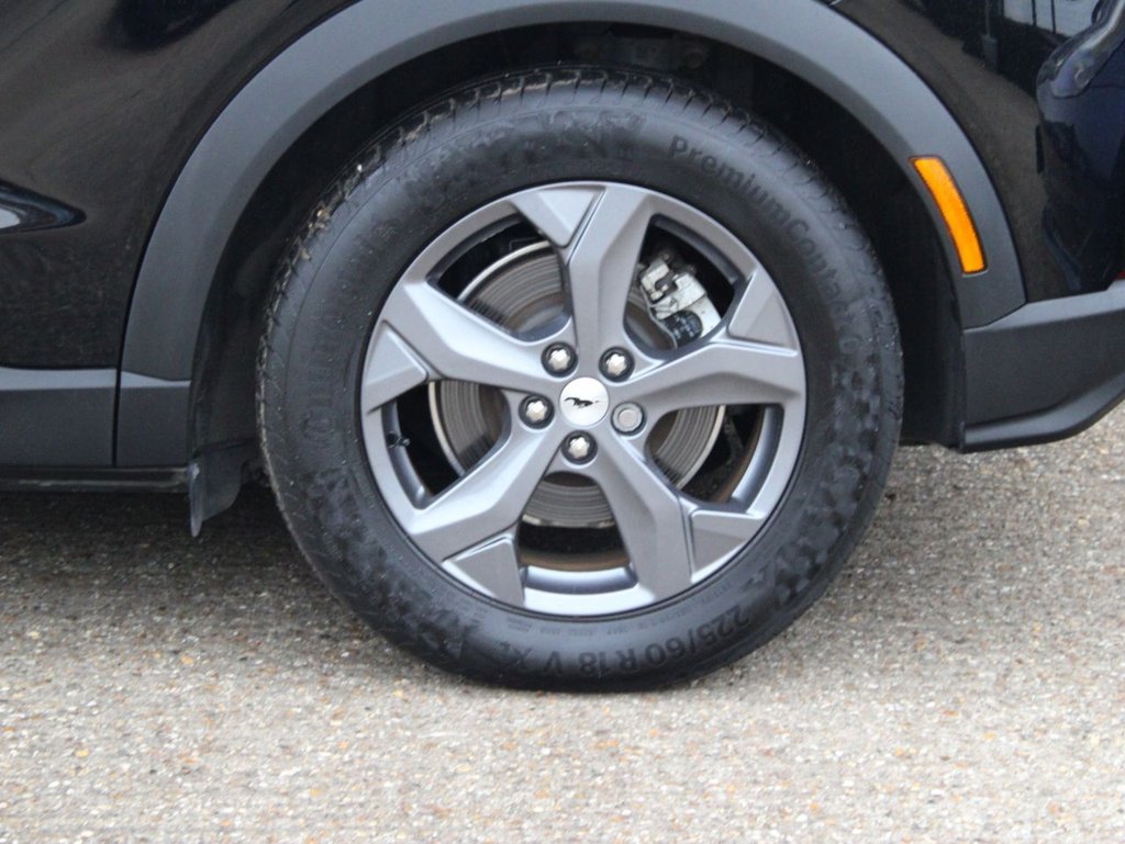 Used Ford Mustang Mach-E 2022 for sale - 76582000: Photo 22