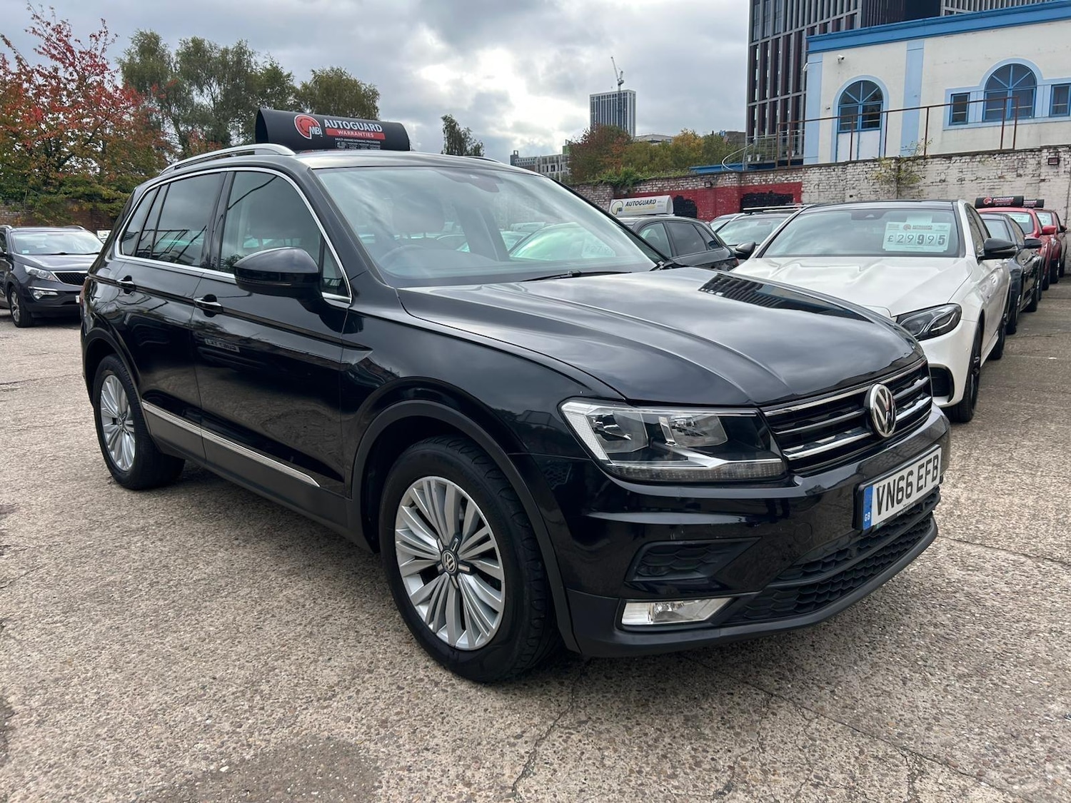 Used Volkswagen Tiguan 2016 for sale - 76239679: Photo 1