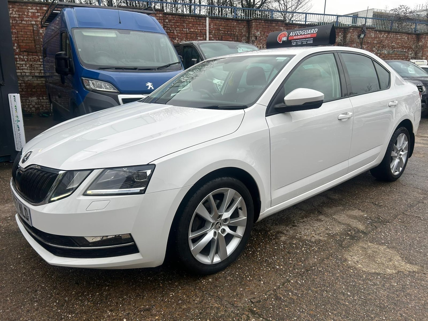 Used Skoda Octavia 2017 for sale - 77376823: Photo 3