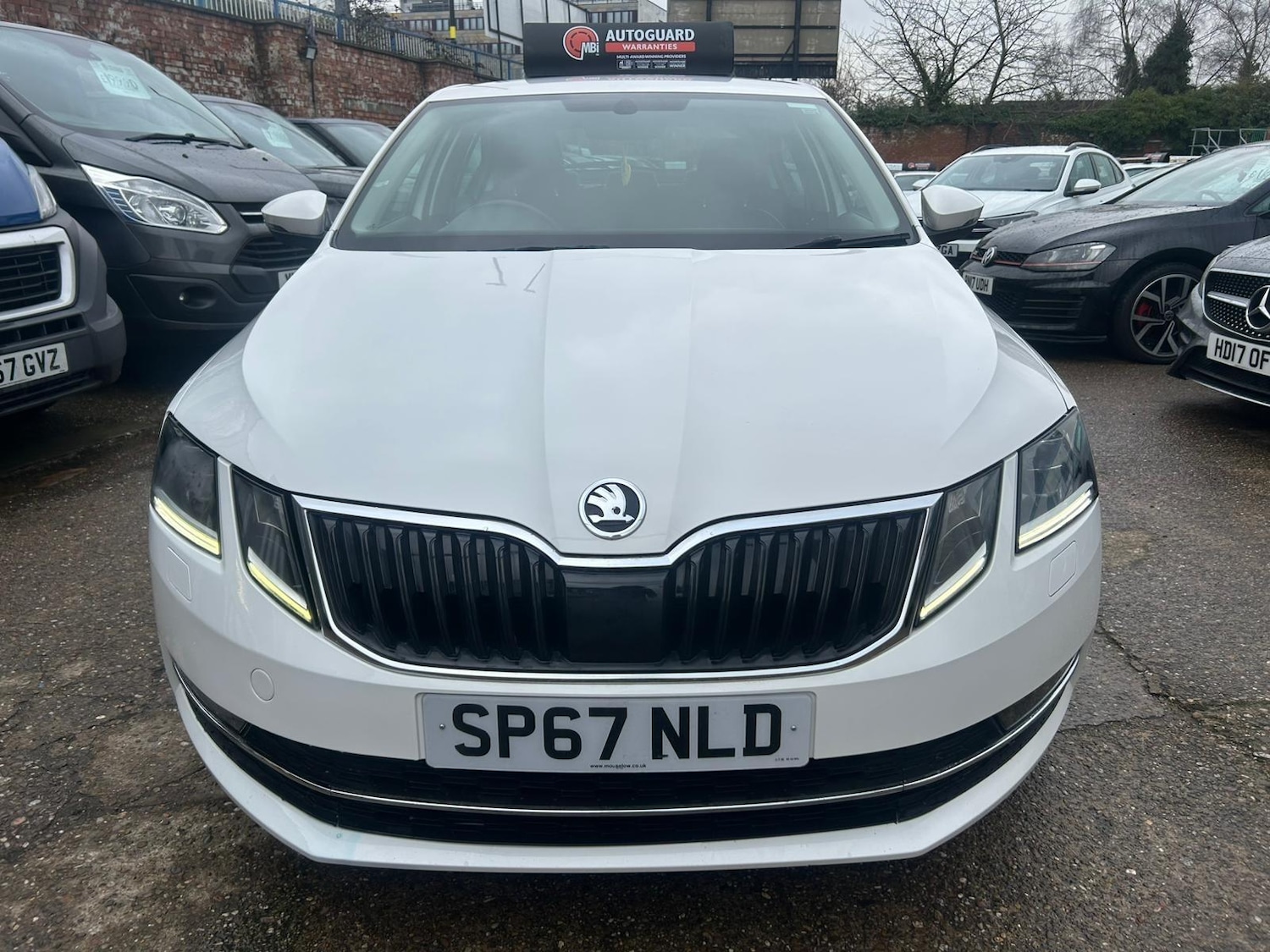Used Skoda Octavia 2017 for sale - 77376823: Photo 6
