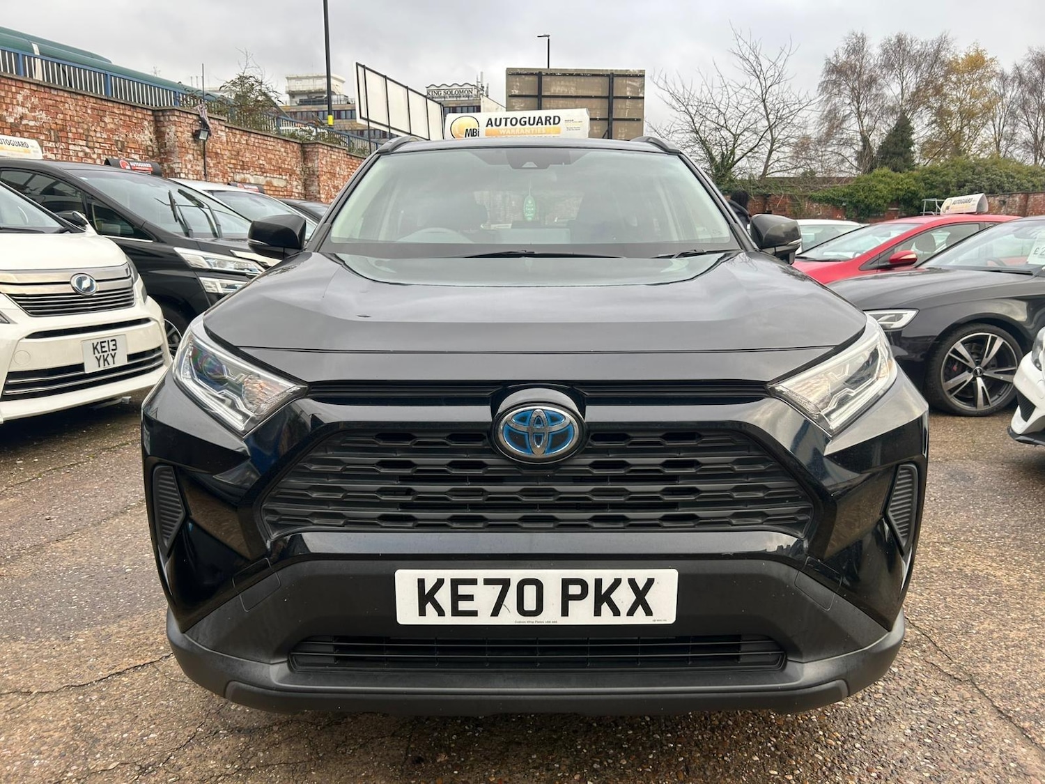 Used Toyota RAV4 2025 for sale - 77994056: Photo 6