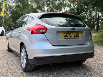 Used Ford Focus 2016 for sale - 79197570: Photo