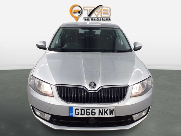 Used Skoda Octavia 2016 for sale - 76190449: Photo 13
