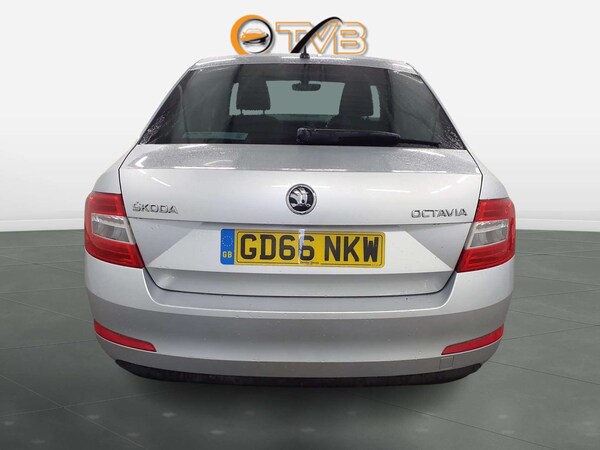 Used Skoda Octavia 2016 for sale - 76190449: Photo 14