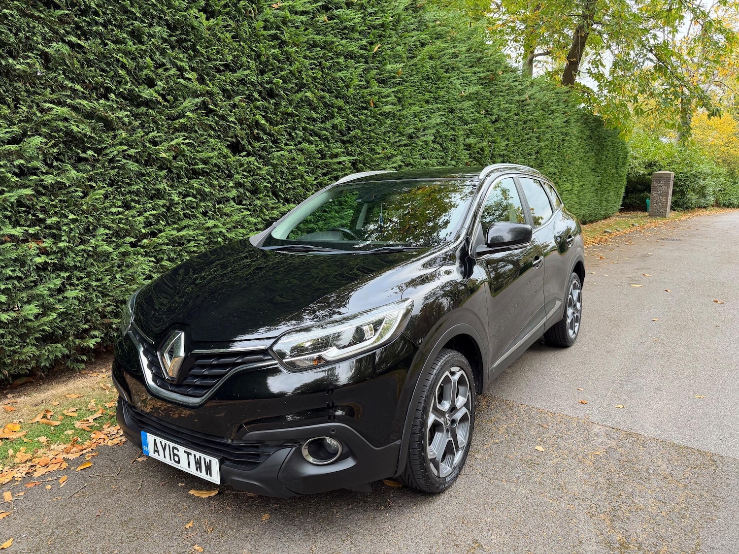 Used Renault Kadjar 2016 for sale - 76295764: Photo 1