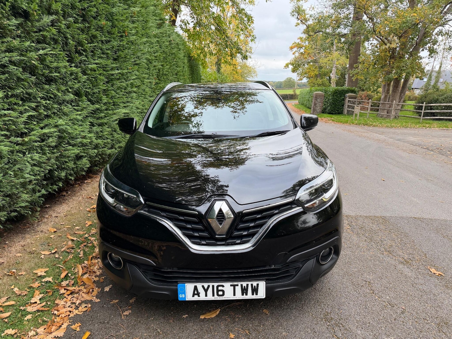 Used Renault Kadjar 2016 for sale - 76295764: Photo 5