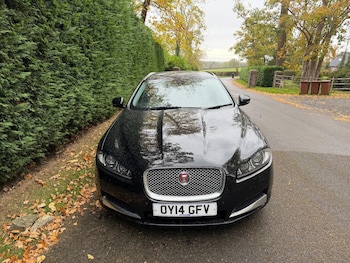 Used Jaguar XF 2014 for sale - 76377361: Photo