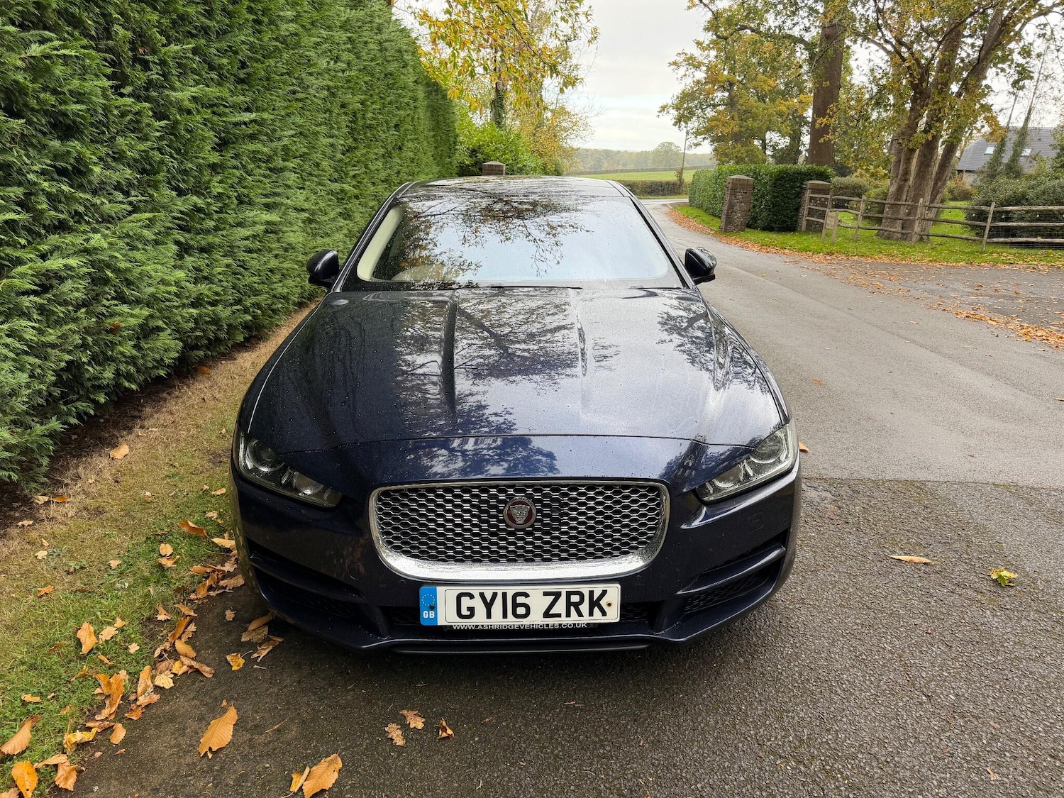 Used Jaguar XE 2016 for sale - 76360041: Photo 5