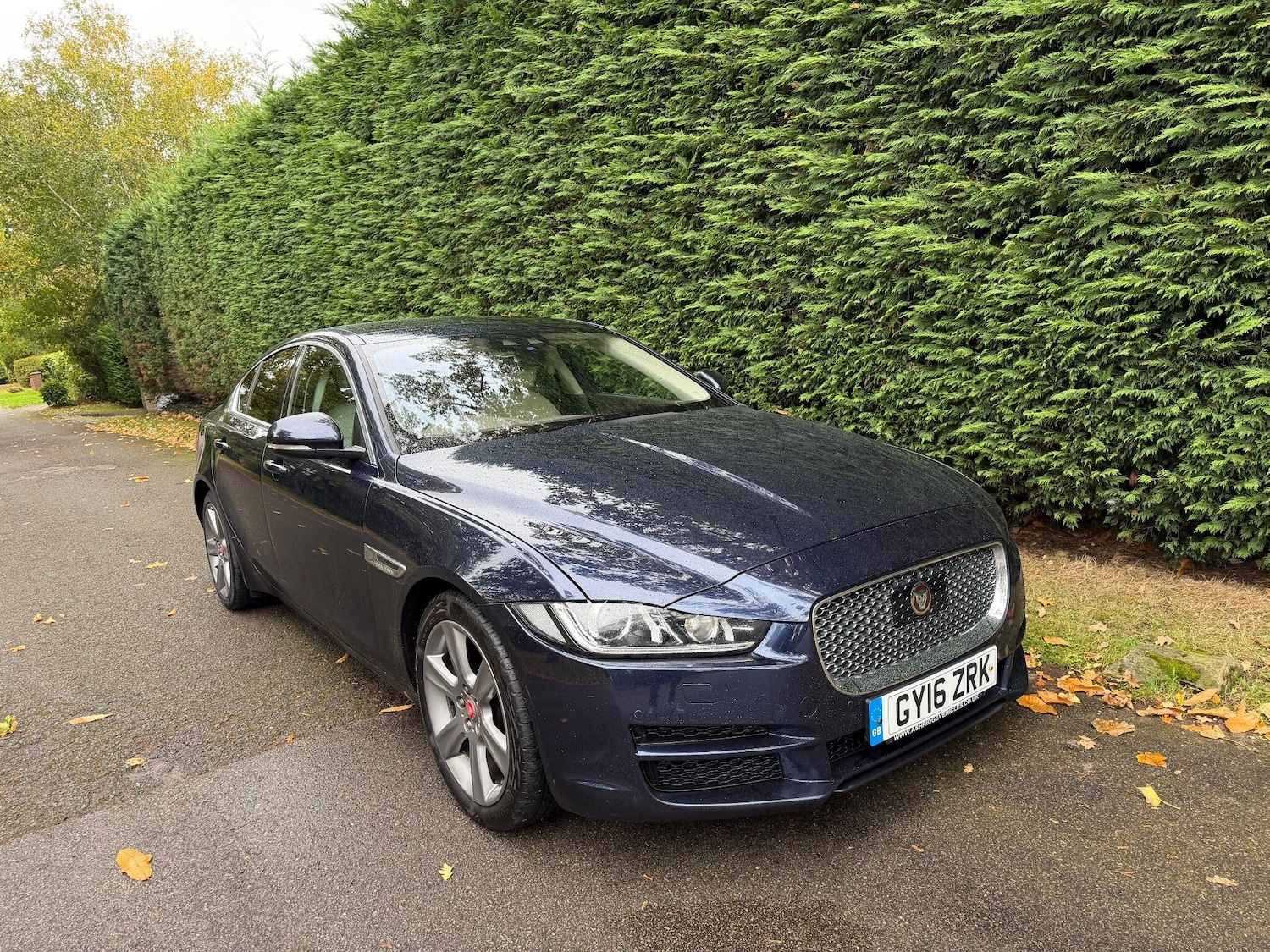 Used Jaguar XE 2016 for sale - 76360041: Photo 6