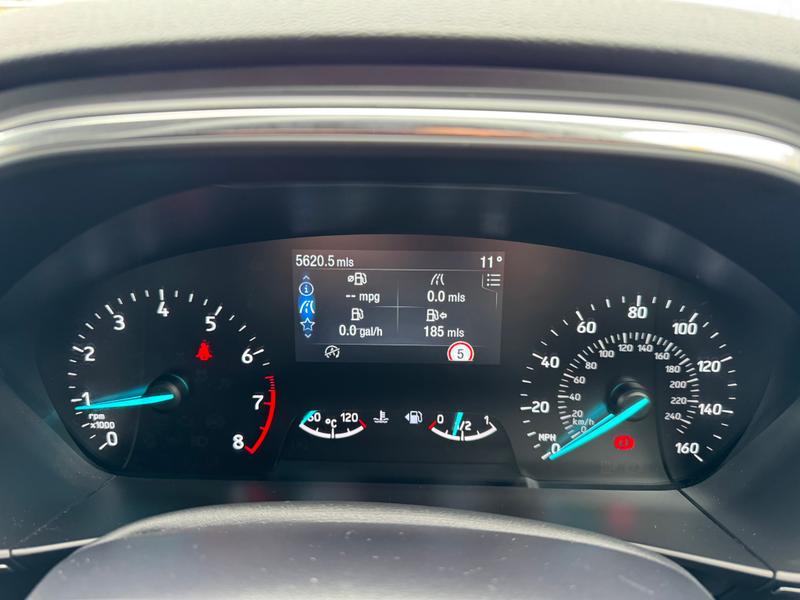 Used Ford Focus 2024 for sale - 76234727: Photo 10