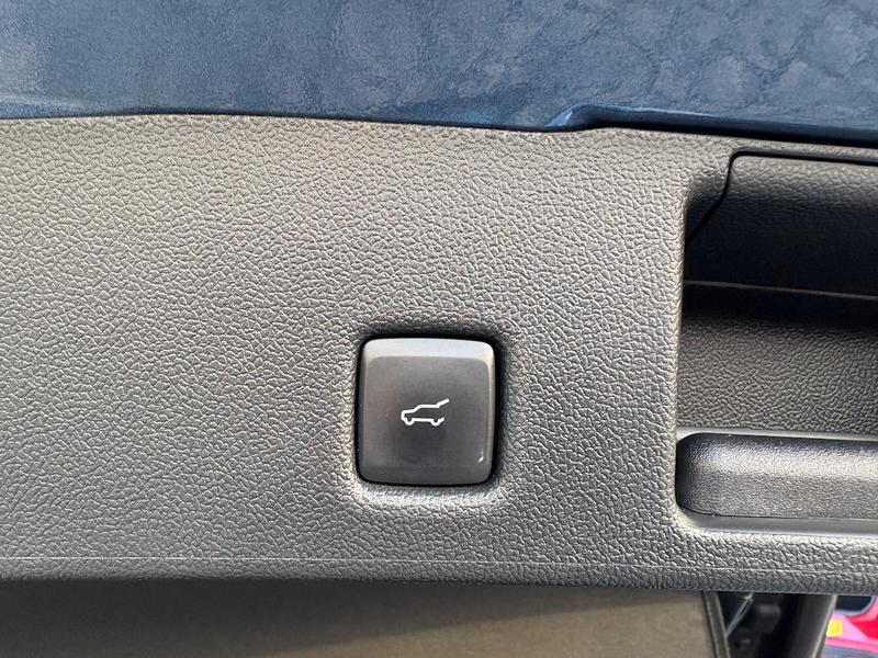 Used Ford Kuga 2024 for sale - 77391823: Photo 11