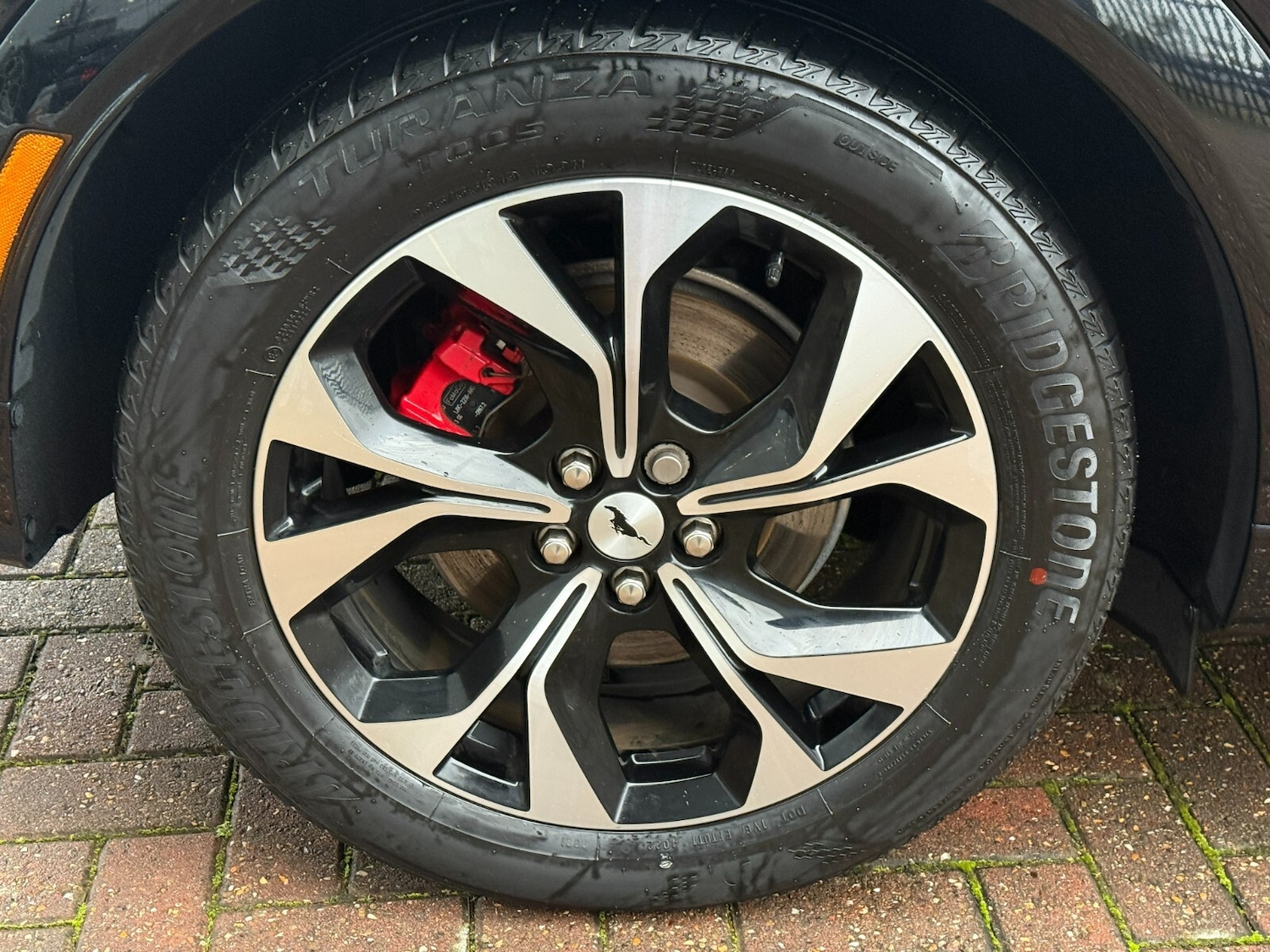 Used Ford Mustang Mach-E 2023 for sale - 76390212: Photo 46