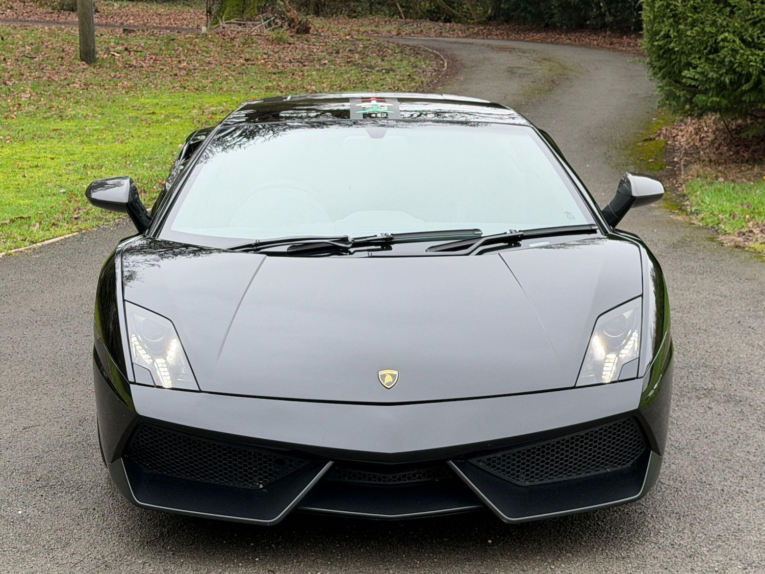 Used Lamborghini Gallardo 2013 for sale - 77331058: Photo 8