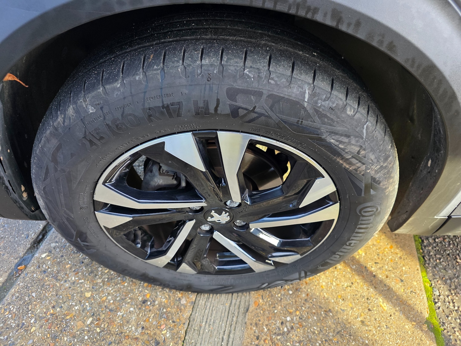 Used Peugeot 2008 2022 for sale - 76569303: Photo 5