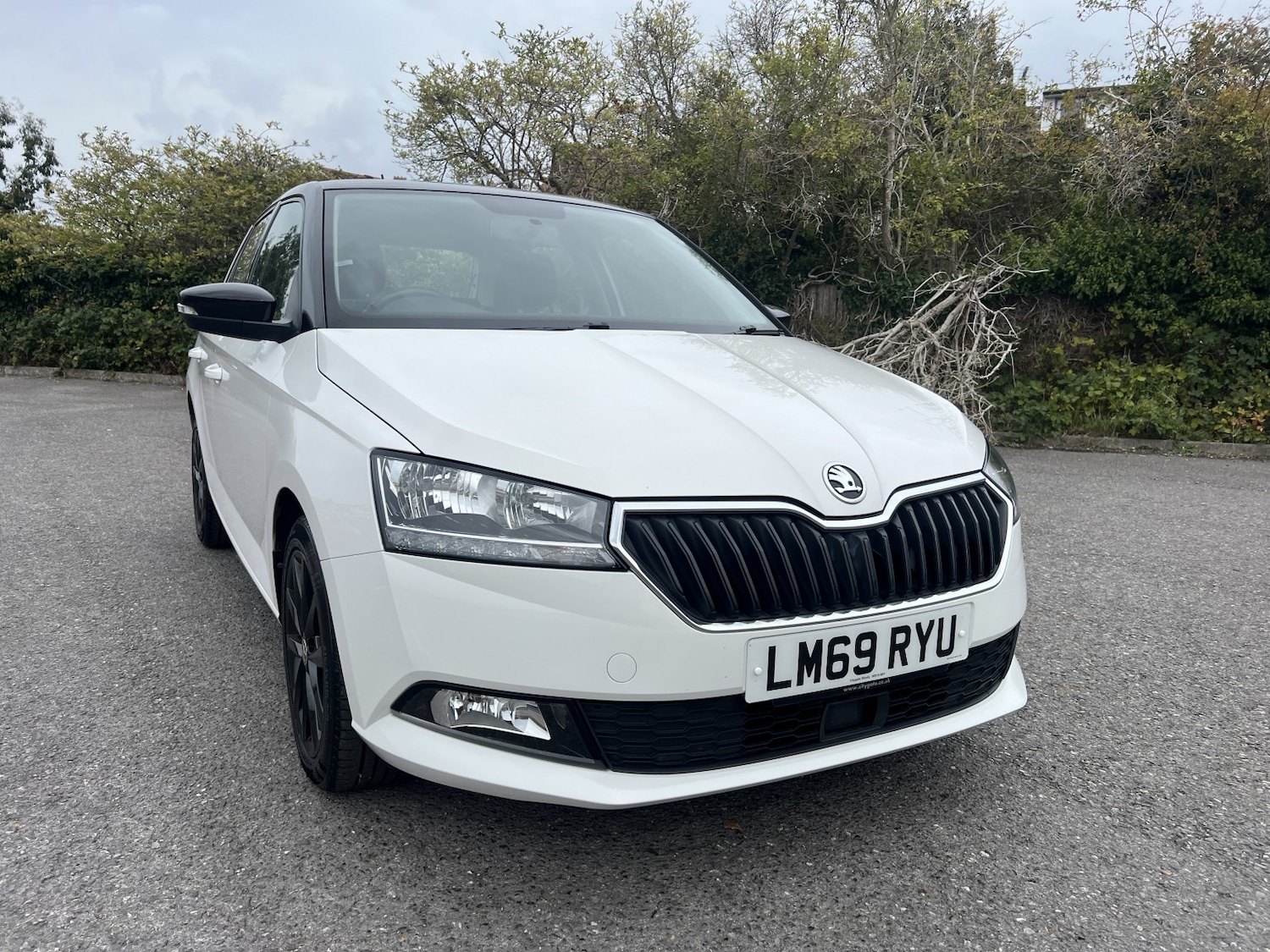 Used Skoda Fabia 2019 for sale - 76186696: Photo 3