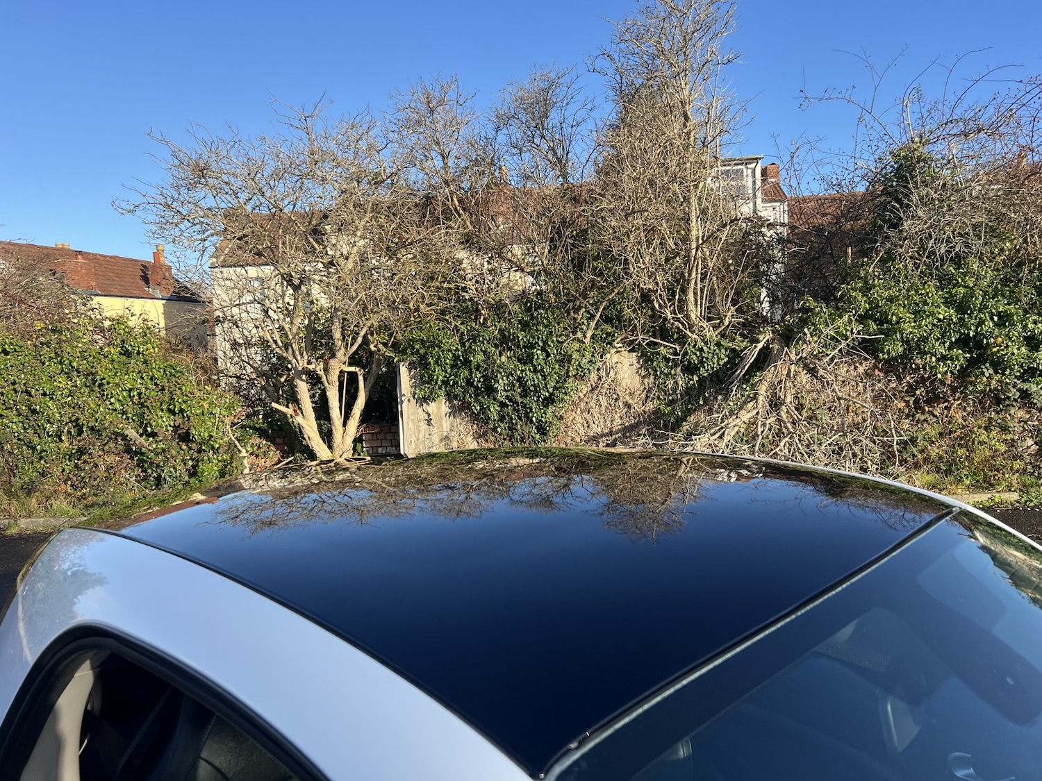 Used smart fortwo 2016 for sale - 76986846: Photo 11