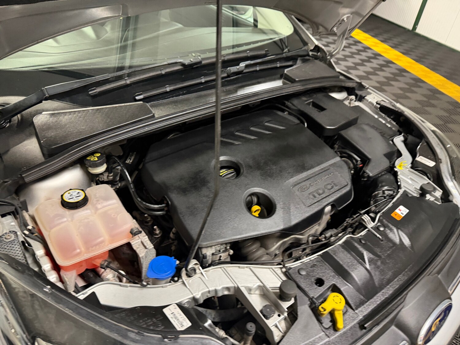 Used Ford Focus 2014 for sale - 78033584: Photo 79