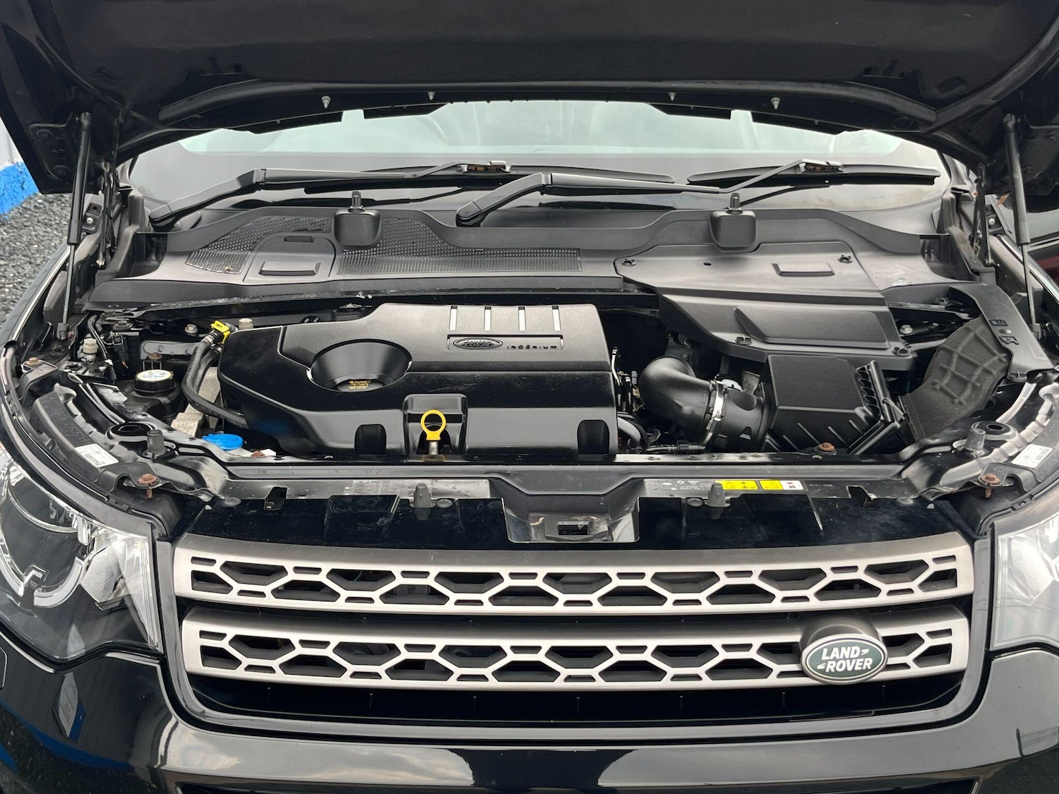 Used Land Rover Discovery Sport 2016 for sale - 76121911: Photo 63