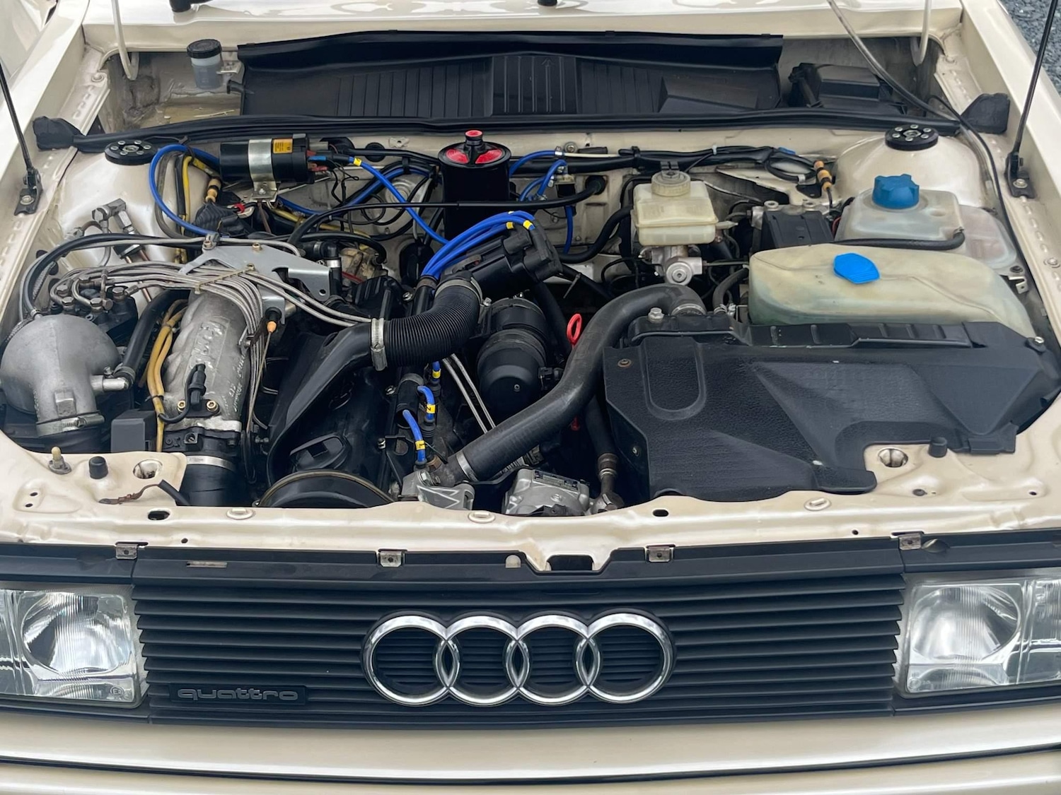 Vehicle 44